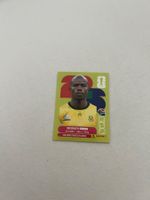 Panini RSA 10