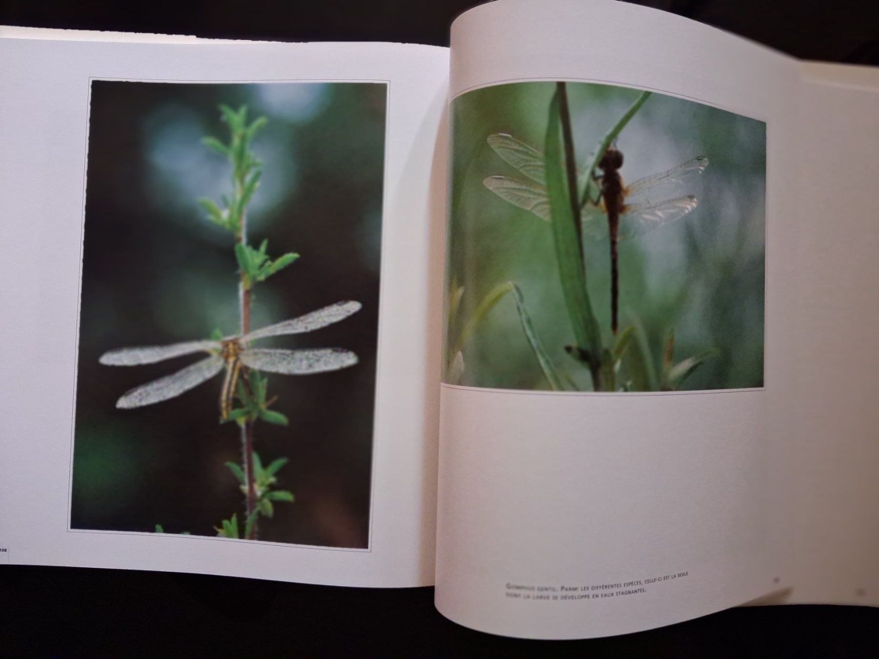 Bücher: NATURE Genève -Moulin-de-Vert, Réserve naturelle - 1995 - EO – Gebraucht aus Cartigny von pgc_fk9s 5
