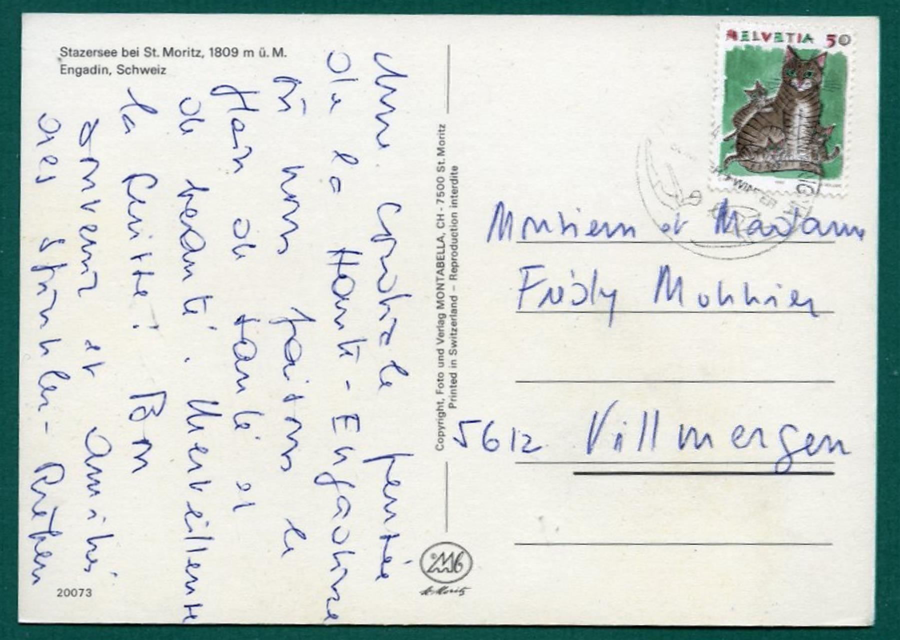 Cartoline postali: Stazersee bei St. Moritz, 1990, gelaufen, Grossformat – Usato da Sargans venduto da Hausi1951 1