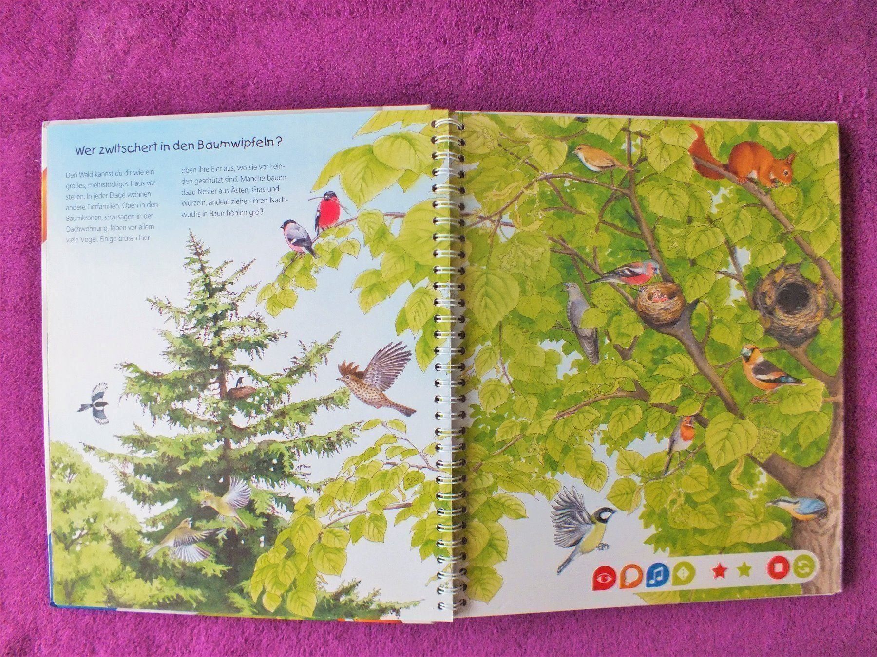 Libri: tiptoi Buch - Komm mit in den Wald – Usato da Müllheim Dorf venduto da Seeeule01 3