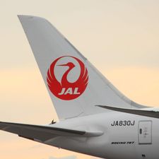 Profile image of dreamliner-787