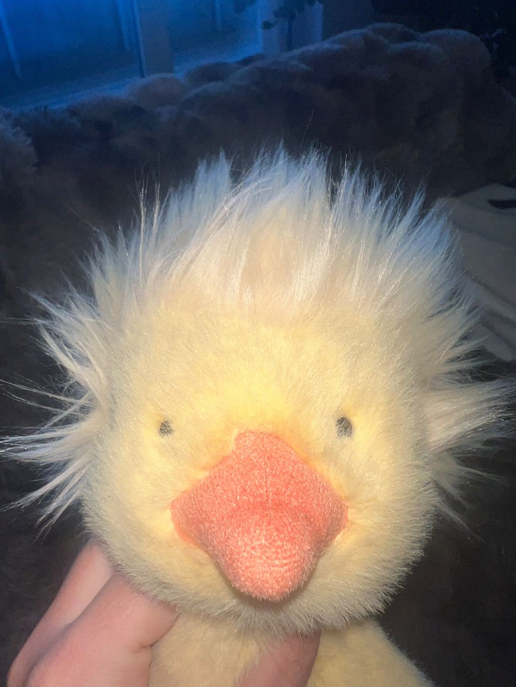 Jellycat Spielzeuge: Jellycat Dorit Duckling – Neu (gemäss Beschreibung) aus Romanshorn von duckgoescrazy 2