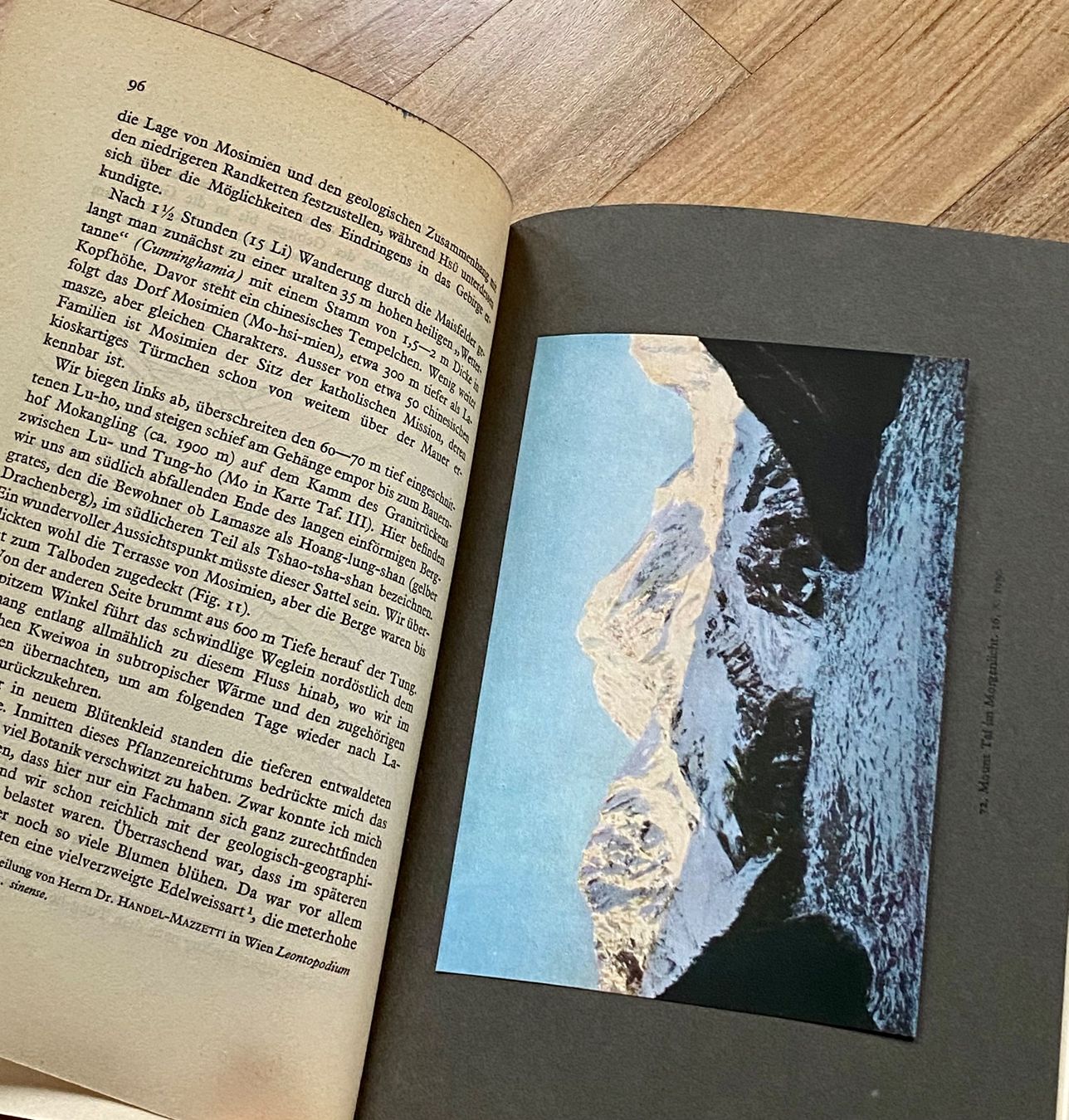 Libri: MINYA GONGKAR von Arnold Heim – Usato da Zürich venduto da Camerountiger 2