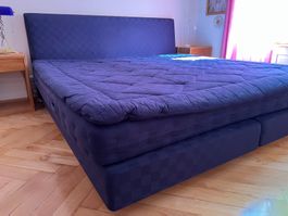 Hästens Aurora BJX 210 × 210 cm – Top Zustand