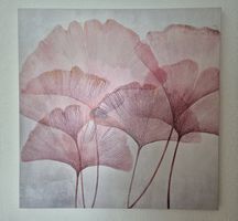 Bild Ginkgo