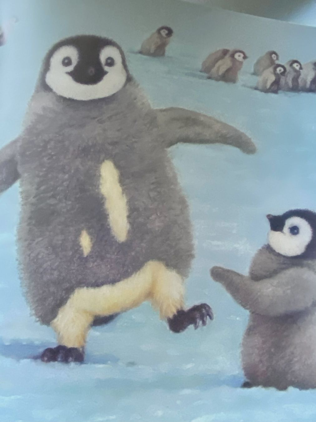 Libri: Otto, der kleine Pinguin – Nuovo (secondo la descrizione) da Sachseln venduto da basti1950 7