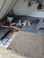 Gebrauchtes Sofa [kann zu Schlafsofa ummontiert werden]