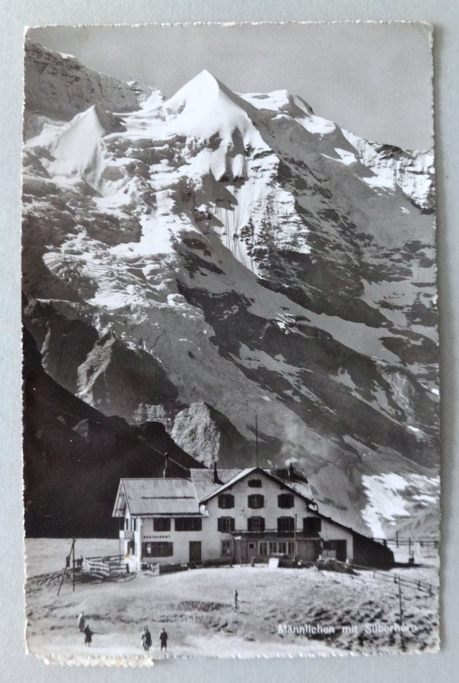 Cartoline postali: Berggasthaus Männlichen mit Silberhorn – Usato da Fétigny venduto da Billy2miny