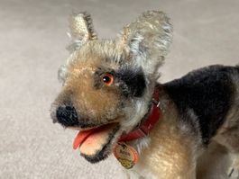 Steiff Hund Arco (antik, Produktion wohl 1957-1961)