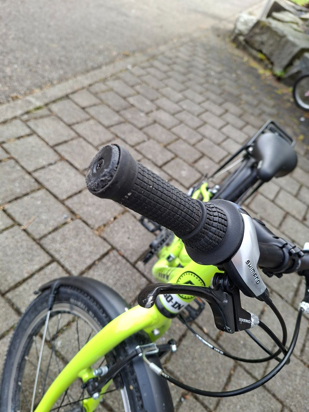 Naloo Biciclette: Naloo 20 Zoll – Usato da St. Erhard venduto da Chiquita85 2