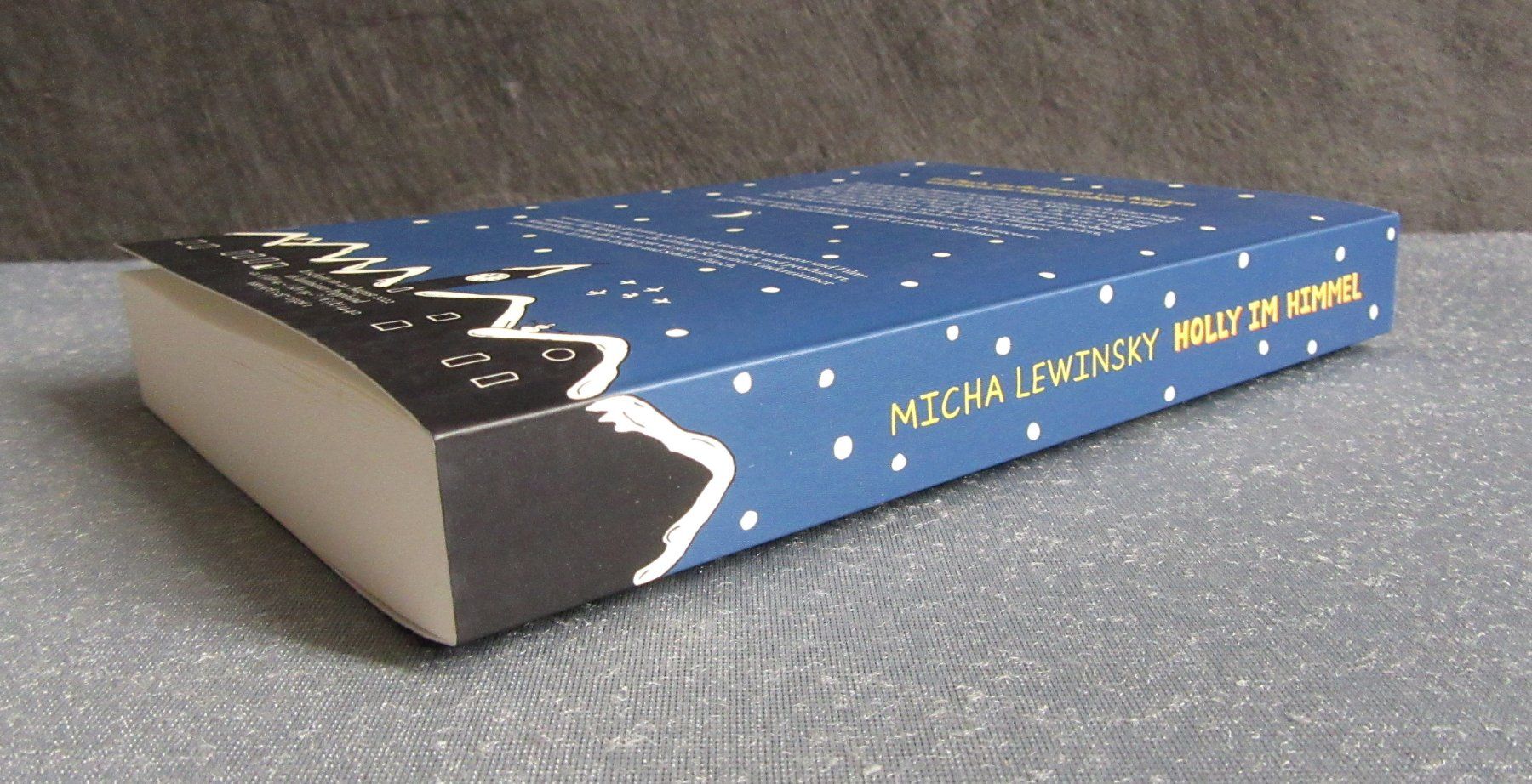 Libri: Holly im Himmel - von Micha Lewinsky – Usato da Auenstein venduto da Padabimbim 5