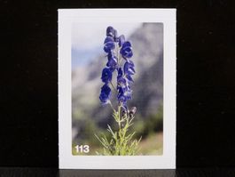 MIGROS MANIA Nature Detectives Nr. 113