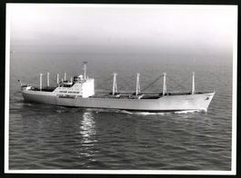 Fotografie Frachtschiff / Frachter Havjo