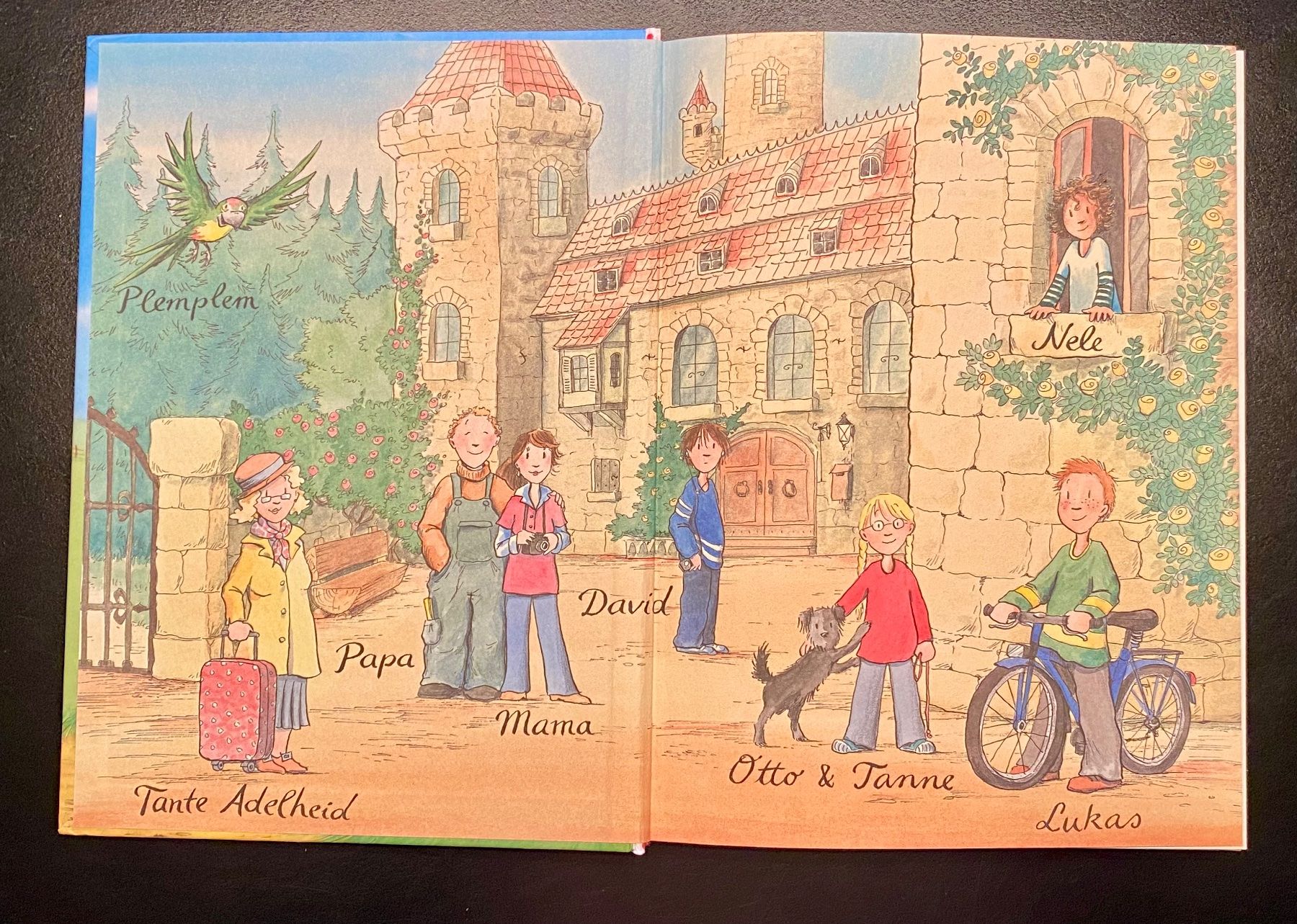 Libri: Nele rettet ein Pony / Usch Luhn – Usato da Nussbaumen AG venduto da schuba2000 2