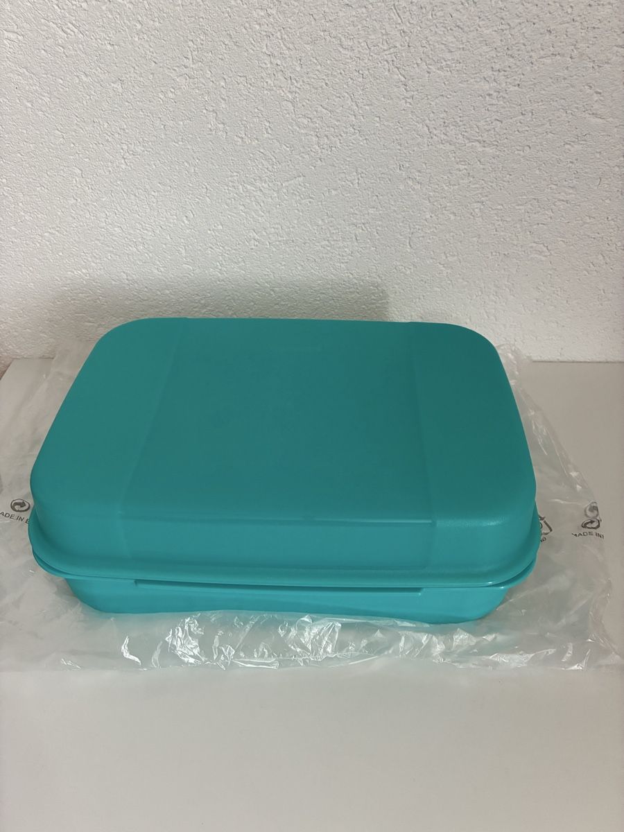 Tupperware Contenitori & Simili: Tupperware Aufbewahrungsbox Neu – Nuovo e nell'imballaggio originale da Burgdorf venduto da Calvia