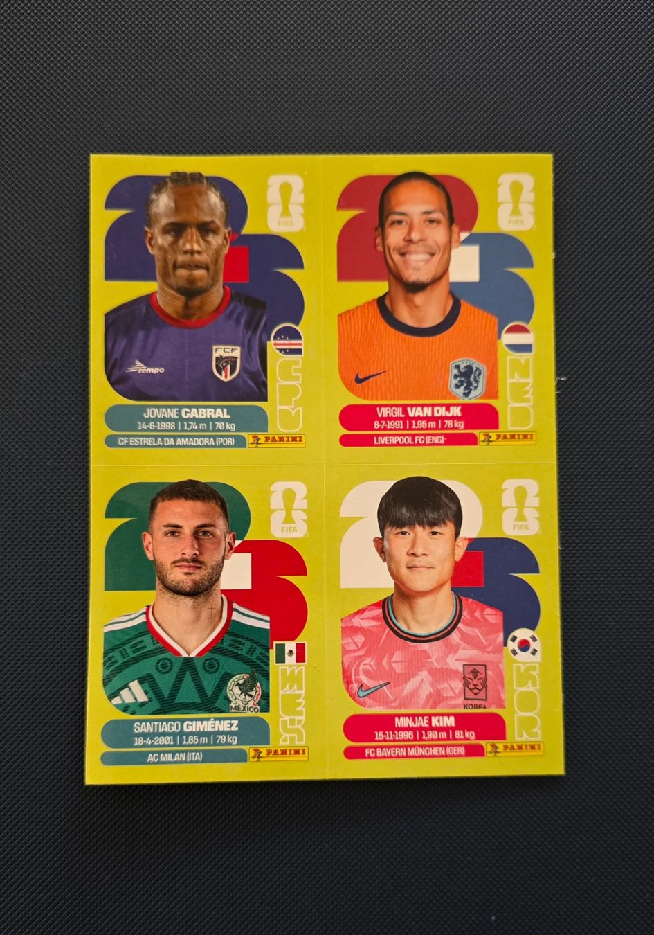Pokémon Cartes à collectionner: Panini WM World Cup 2026 - 80+ Karten – Neuf (Voir description) à Roggwil BE par S_Cards 1