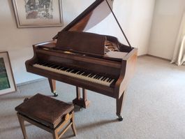Bösendorfer Flügel, Elfenbeintasten, Revisionsbedürftig
