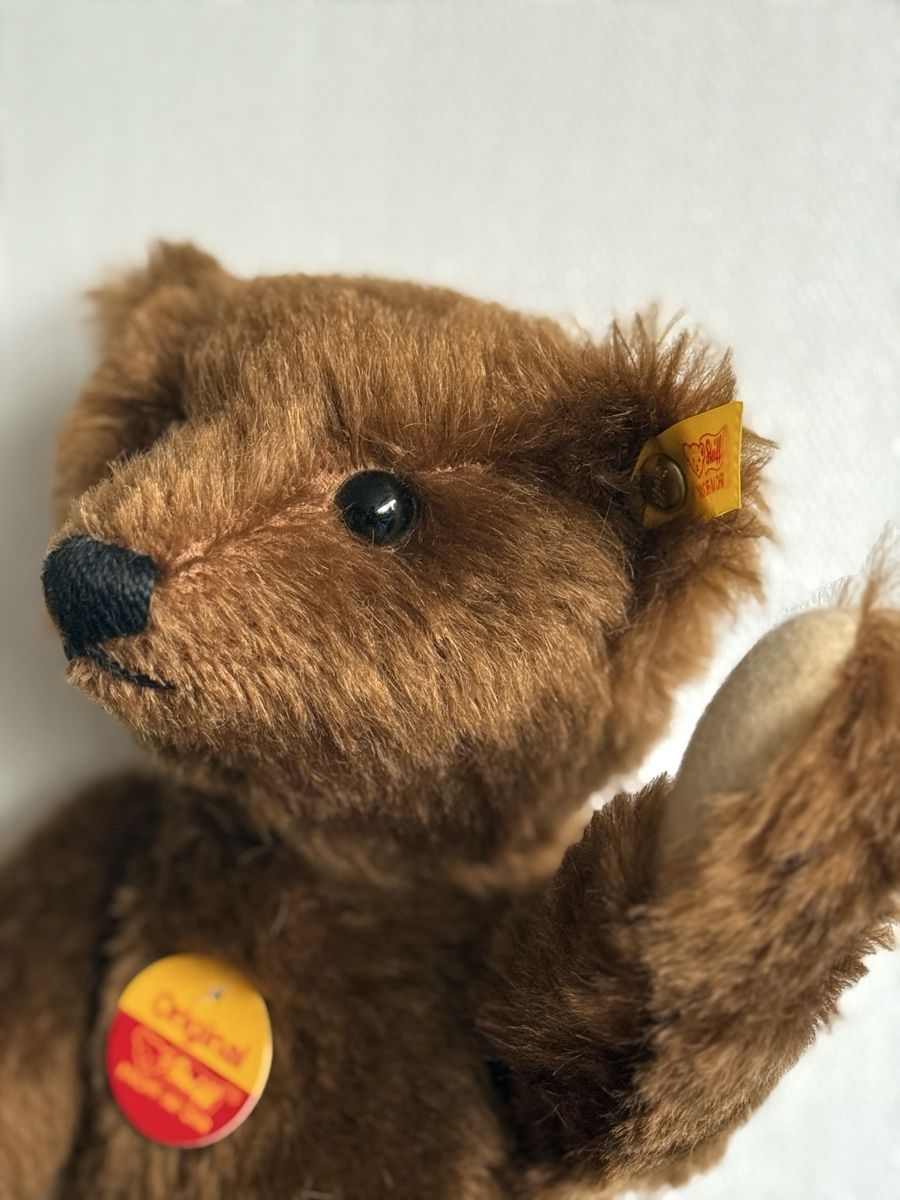 Steiff Giocattoli: Teddybär von Steiff – Nuovo e nell'imballaggio originale da Mumpf venduto da A_B_E