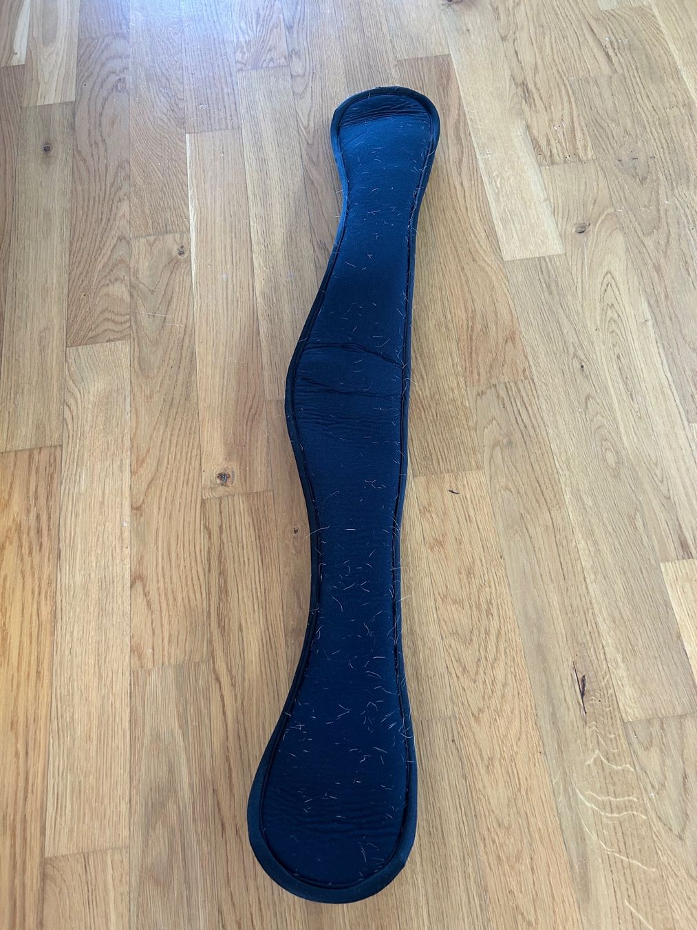 Selle & Accessori: Sattelgurt – Usato da Dällikon venduto da Einhornglitzer1 1