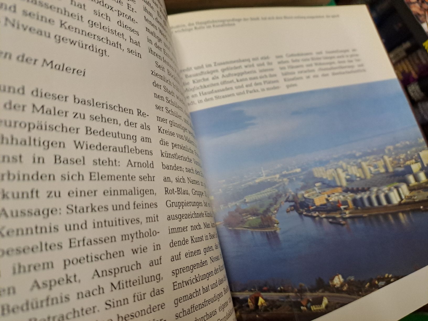 Libri: Schweizer Kantone Basel-Stadt Buch - Top Zustand! – Usato da Zürich venduto da Schoebi19 5