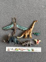 Dino-Figuren Set - Spielzeug Dinosaurier Sammlung, Top!