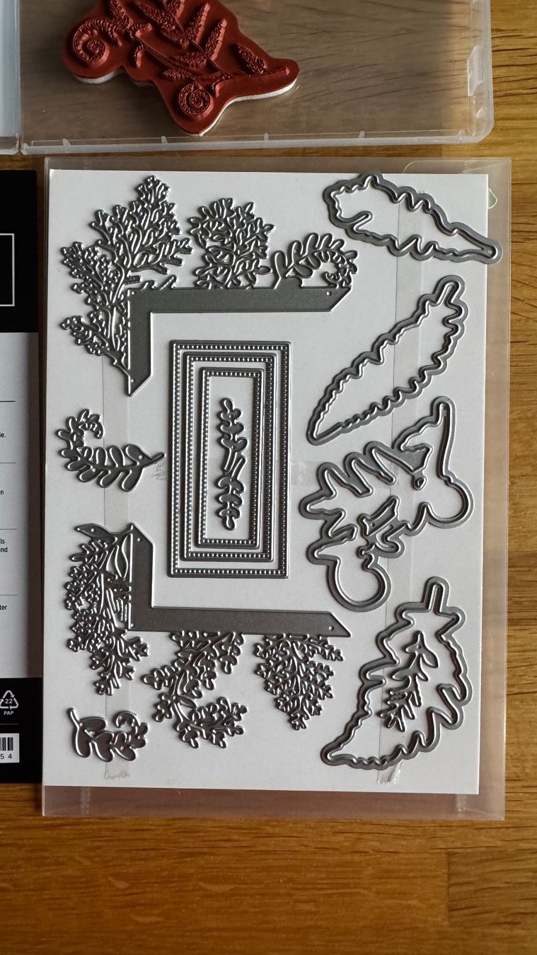 Stampin' up! Tampons: Stampin Up / Filigrane Farne / A – D'occasion à Neukirch (Egnach) par muolen 3
