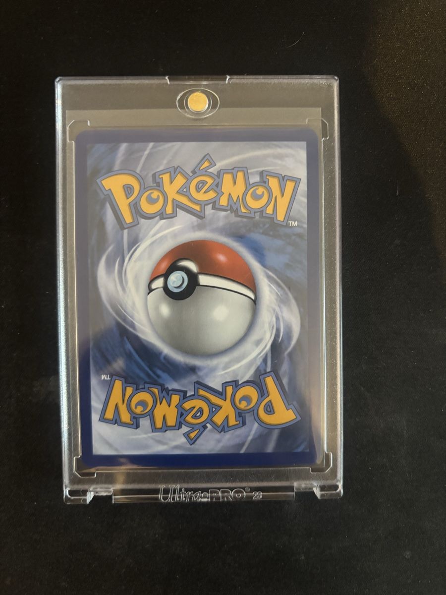 Pokémon Carte collezionabili: Cinccino Ex SIR - inkl. Case – Nuovo (secondo la descrizione) da Walenstadt venduto da lym_zv99 1