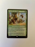 MTG - Erwachen des Waldes - Dominaria - DE