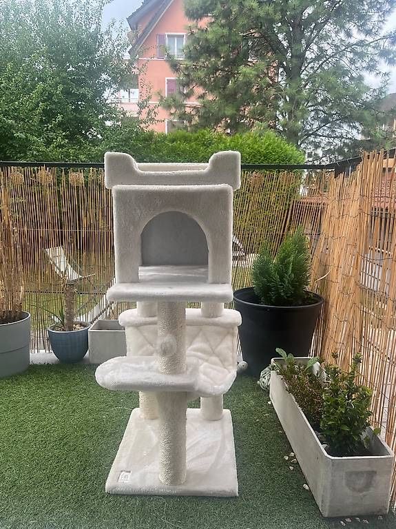 Katzenbaum - Kratzbaum: Katzenkratzbaum / Cat scratcher – Gebraucht aus Emmenbrücke von dua_9nzf 2