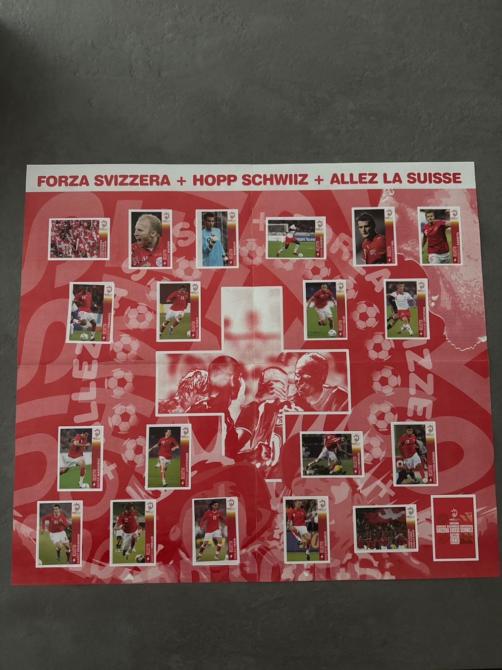 Panini Album: Album Panini complet Euro 2008 – Usato da Martigny venduto da cni_99jk 1