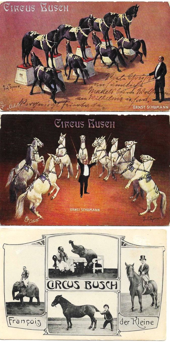 Ansichtskarten: 3 AK CIRCUS BUSCH BERLIN 1911 PFERDE etc. – Gebraucht aus Schlossrued von Aronliam