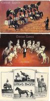 3 AK CIRCUS BUSCH BERLIN 1911 PFERDE etc.
