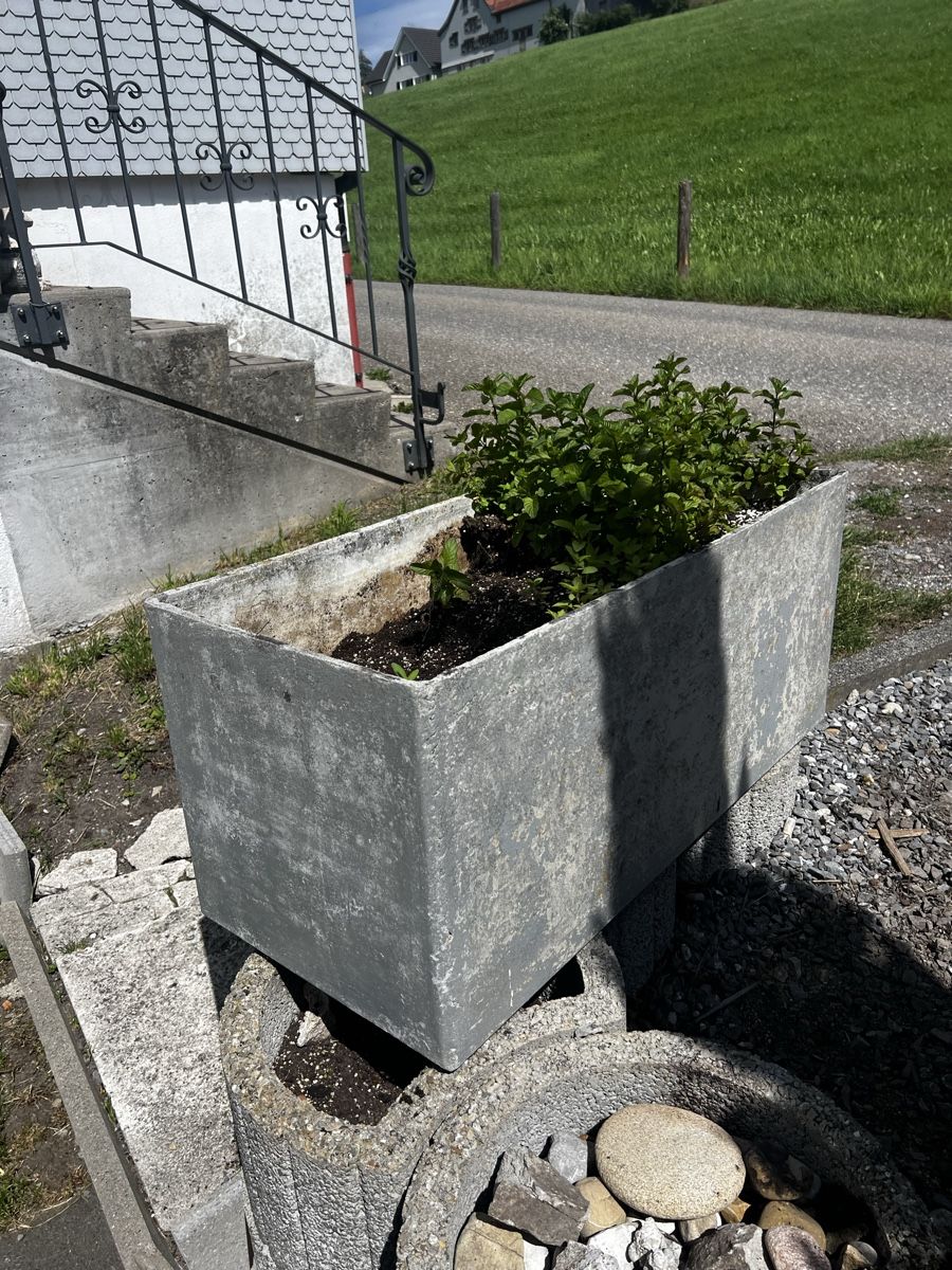 Eternit Pots de fleurs: Eternit Topf 1m – D'occasion à Schönengrund par Oldbutgold93
