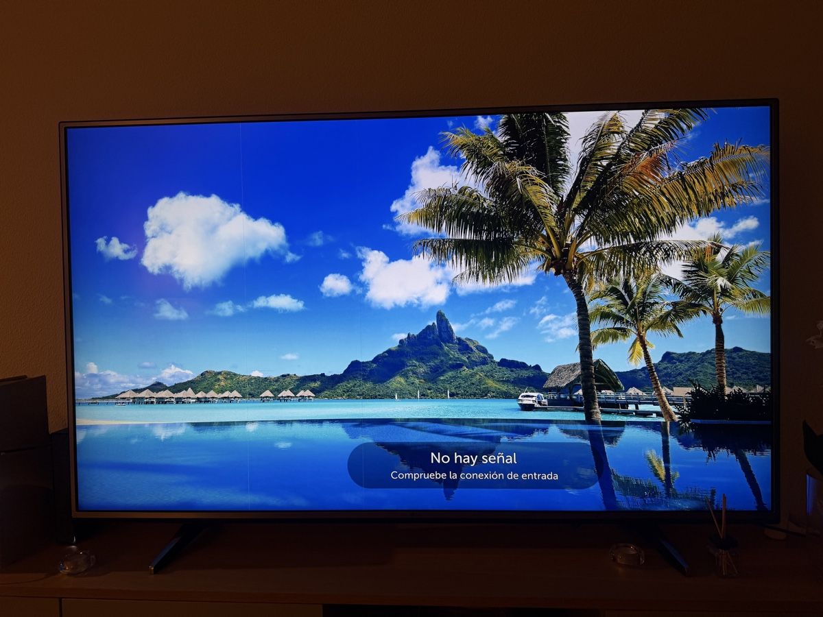 LG Televisori: LG Television 65 inch with minor defect – Usato da Oberrieden venduto da seb_2y7y 4