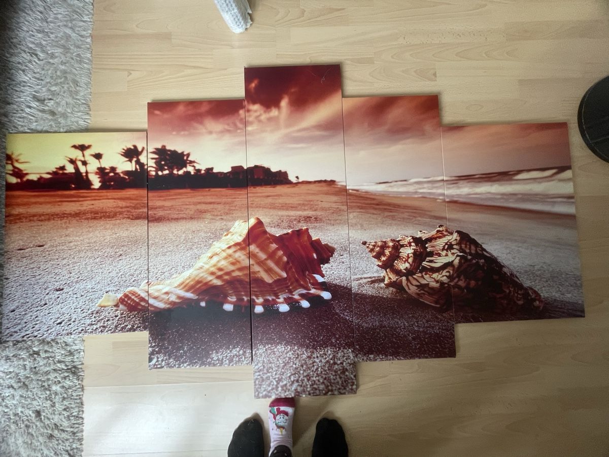 Poster & Bilder: Bild 5-teilg Muscheln – Gebraucht aus Höri von LucaSomma