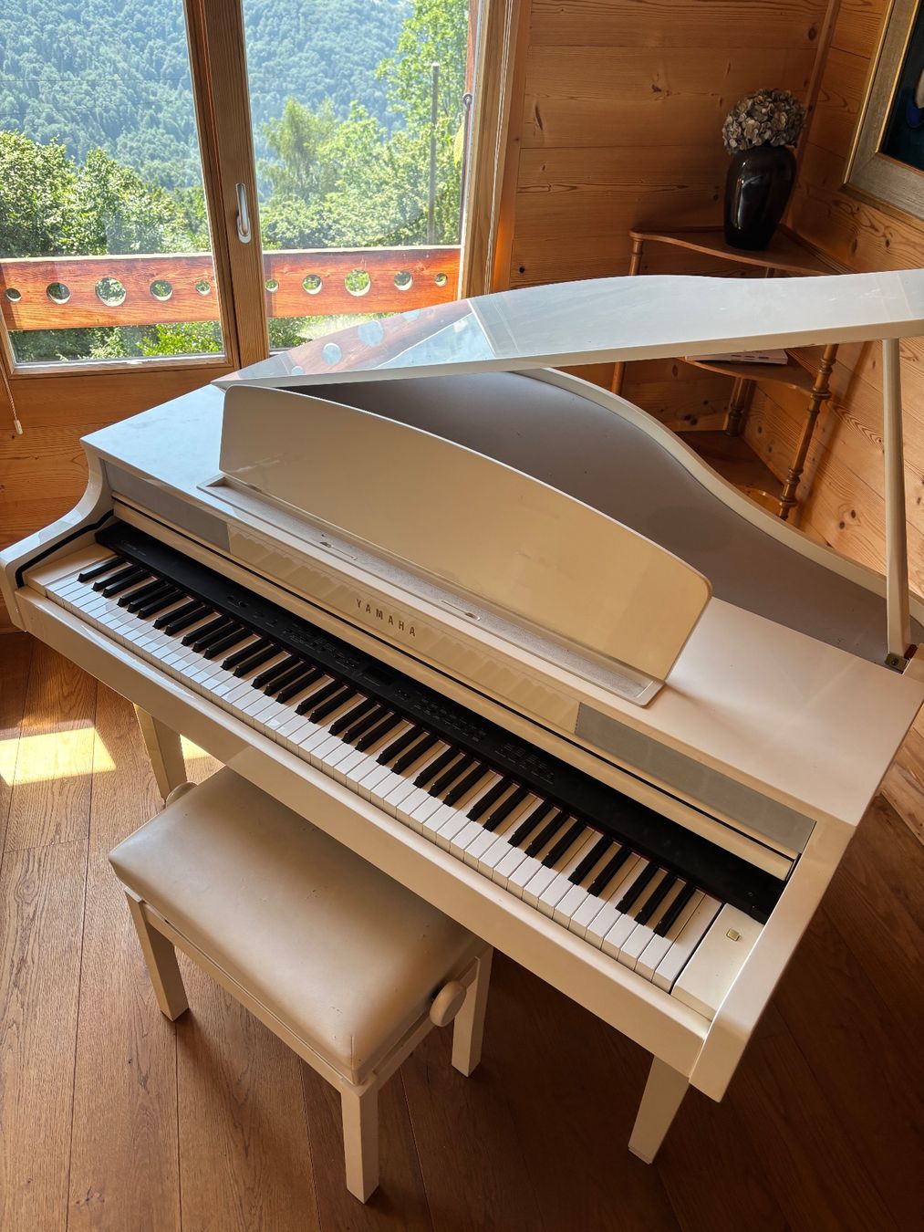 Yamaha Strumenti musicali: Yamaha Clavinova CLP-465GP - Piano numérique à queue – Usato da Huémoz venduto da est_z8s9 1