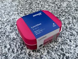 AMUSE Lunchbox 3 in 1