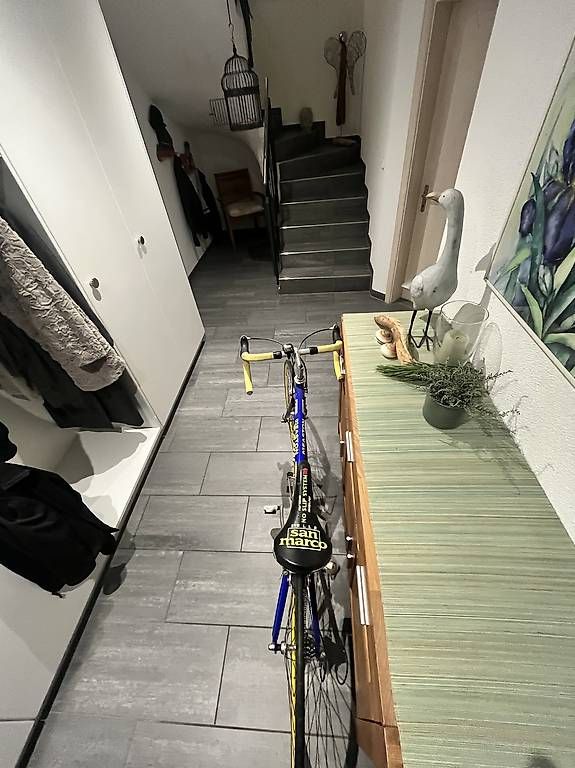 Biciclette: Sannino Rennrad – Usato da Attinghausen venduto da fla_xtb5 3