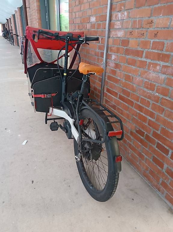 Biciclette: E-Cargo-Bikes Riese & Müller Packster 80 – Usato da Zürich venduto da APally 4