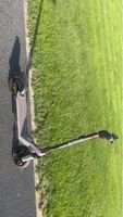 E-Scooter Segway Ninebot schwarz gebraucht