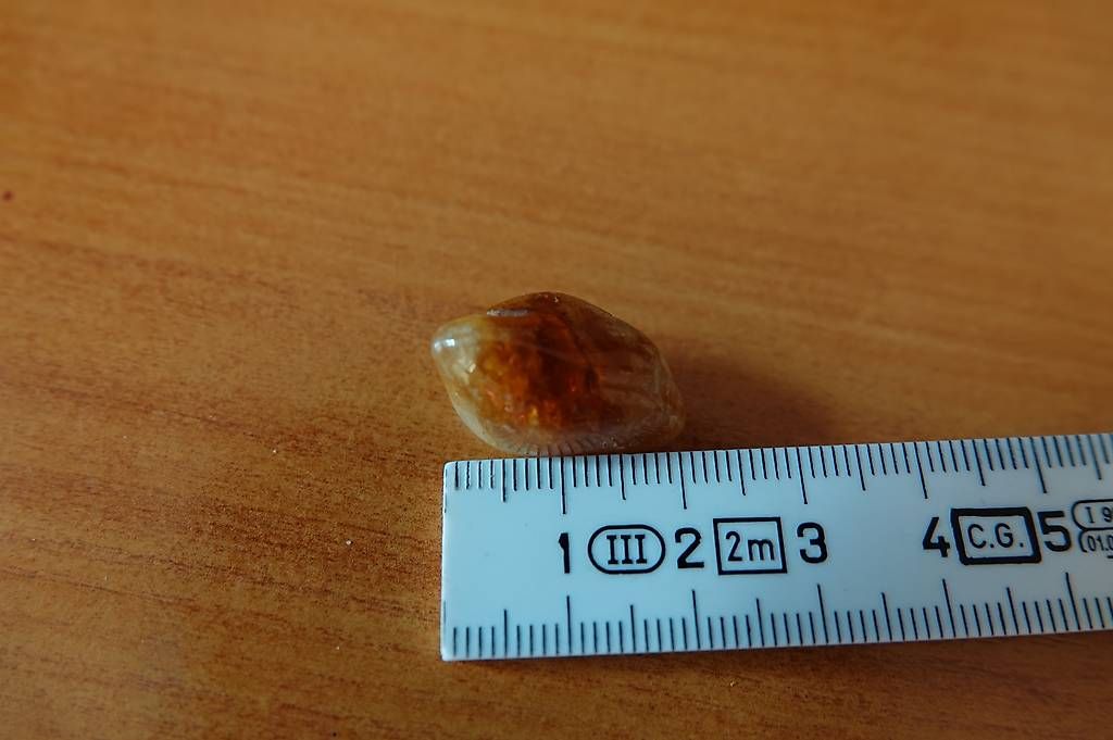 Fossili: Schöne Bernstein-Perle 6 Gramm – Usato da Allschwil venduto da alaubi 2