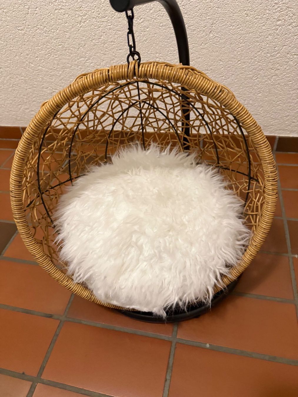 Cucce & Letti: Katzenkorb Paris 47 – Usato da Dornach venduto da AlexandraT
