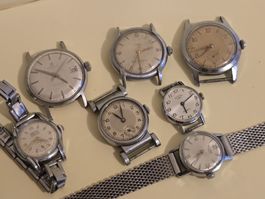 Lot de montre tissot rotary richard.zefyr 7 montres
