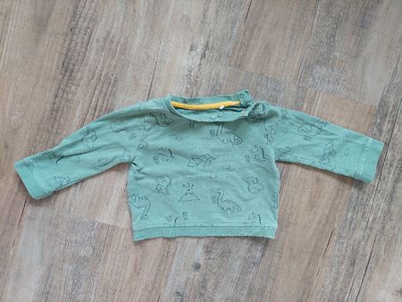 Pullover Grösse 80, grün, Dino
