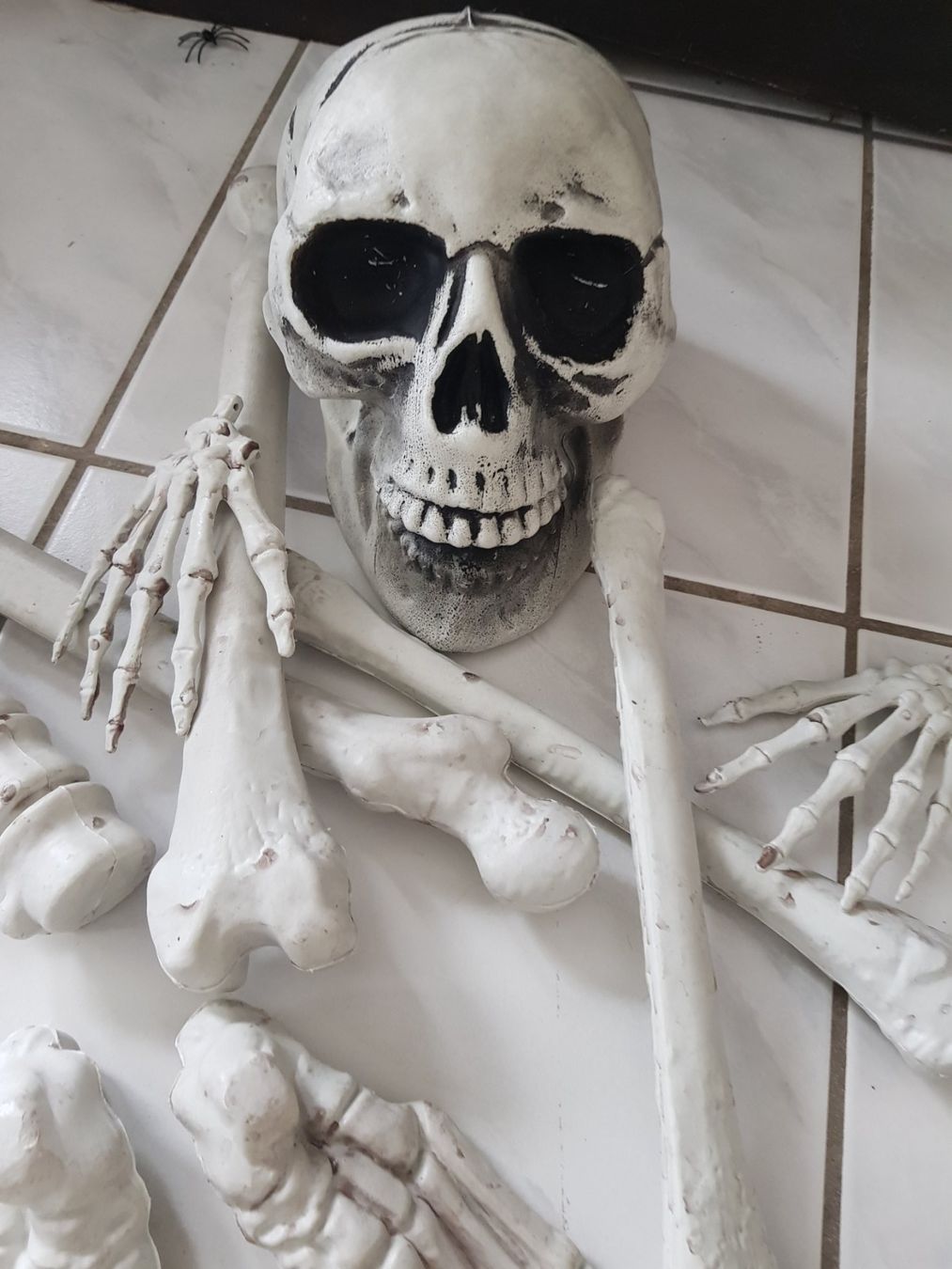 Tutte le decorazioni: HORROR/ HALLOWEEN KNOCHEN-SET – Nuovo (secondo la descrizione) da Root venduto da LifestyleAccessoires 1