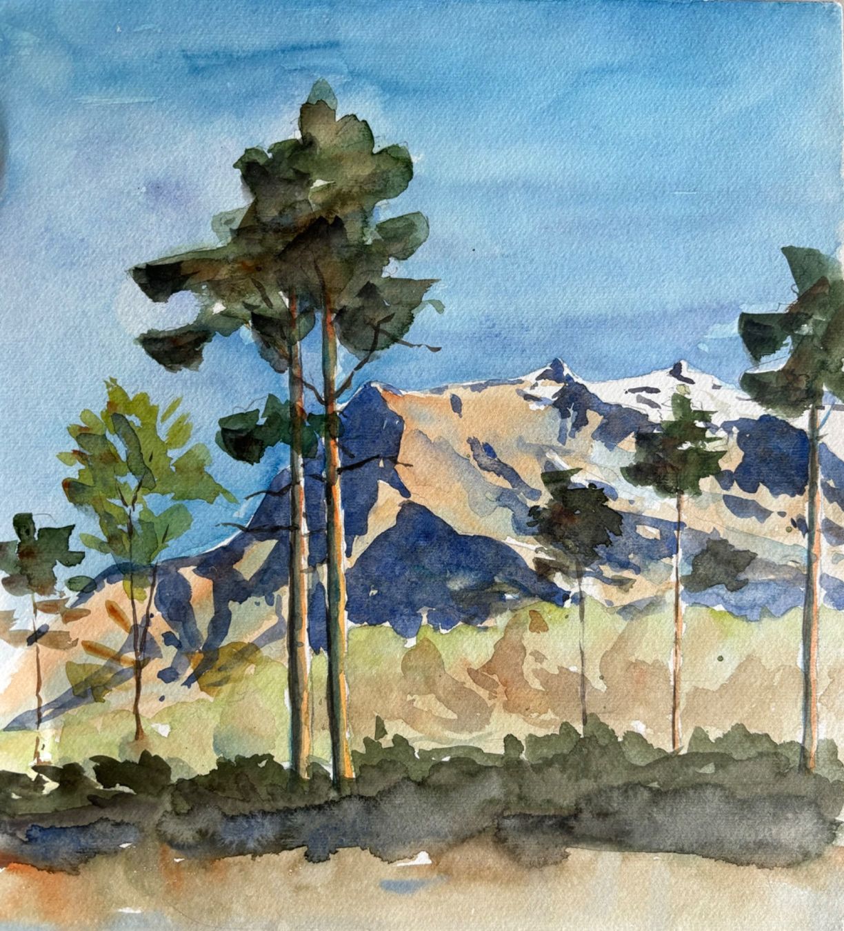 Dipinti: M. Debrunner, Aquarell, Landschaft, Berge, 1957 – Usato da Frauenfeld venduto da Merk52