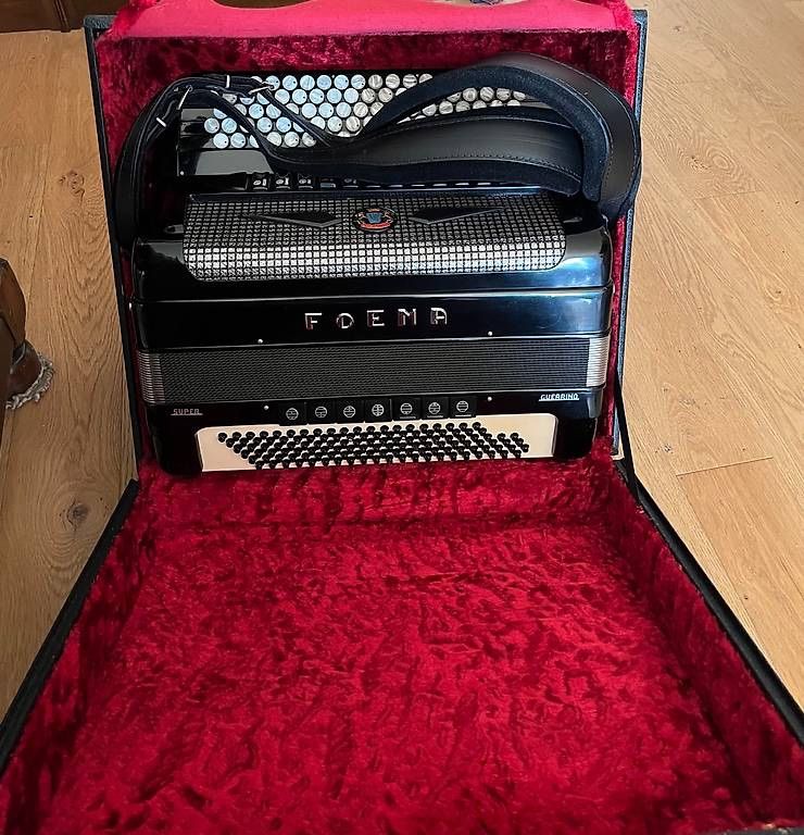 Strumenti musicali: Accordéon avec convertisseur – Usato da Martigny venduto da Cavag