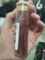 Safran IRAN 2.5 gr - 1 tube en verre