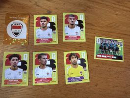 Panini 2026 7er Set IRQ