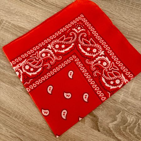 BANDANA MIT PAISLEY  PRINT, ROT NEU